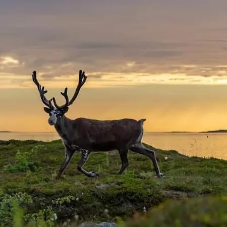 Apartment Mountain & Sea View *